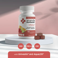 Load image into Gallery viewer, ANANDA PROFESSIONAL INFLAEZE GUMMIES